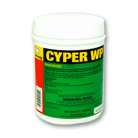 Cyper WP will kill all the stink bugs outside before they get in your house